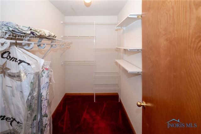 spacious closet featuring carpet flooring