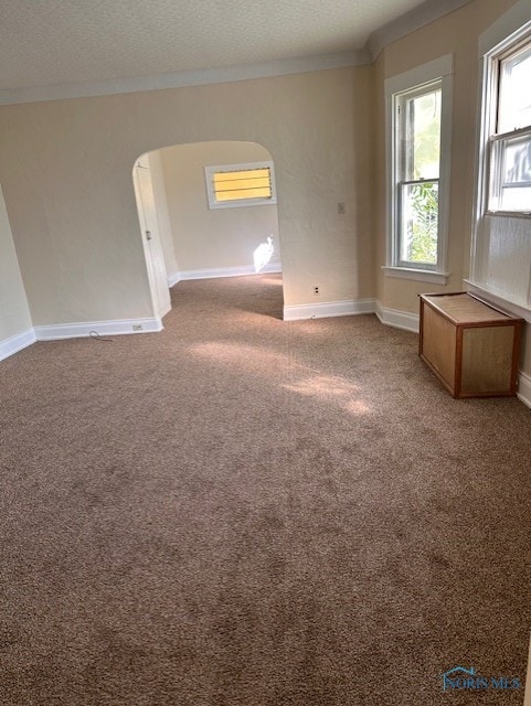 spare room featuring crown molding, a textured ceiling, and carpet flooring