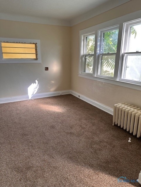 spare room featuring radiator heating unit and carpet flooring