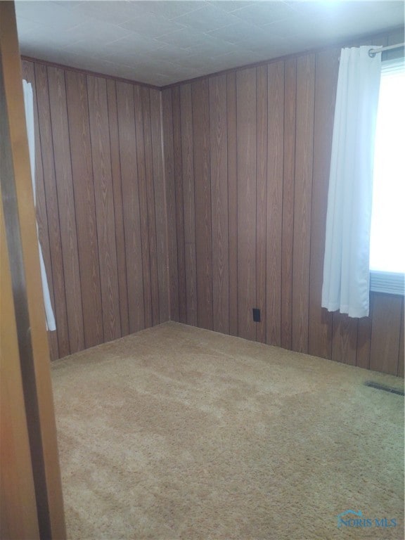 carpeted empty room featuring wood walls