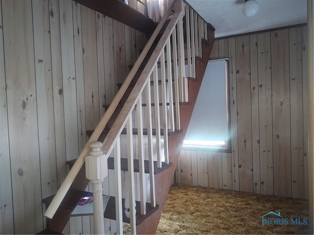 staircase featuring wooden walls and carpet