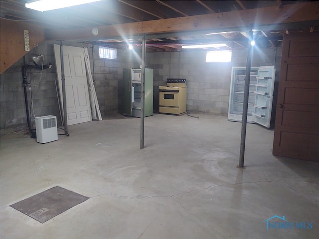 basement with fridge