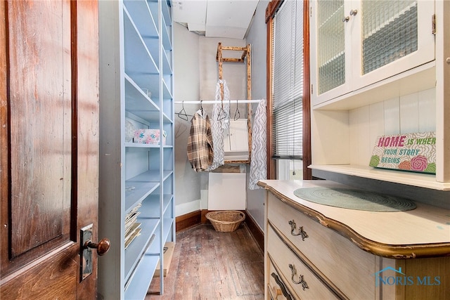 spacious closet with dark hardwood / wood-style flooring