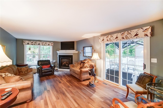 living room with hardwood / wood-style flooring