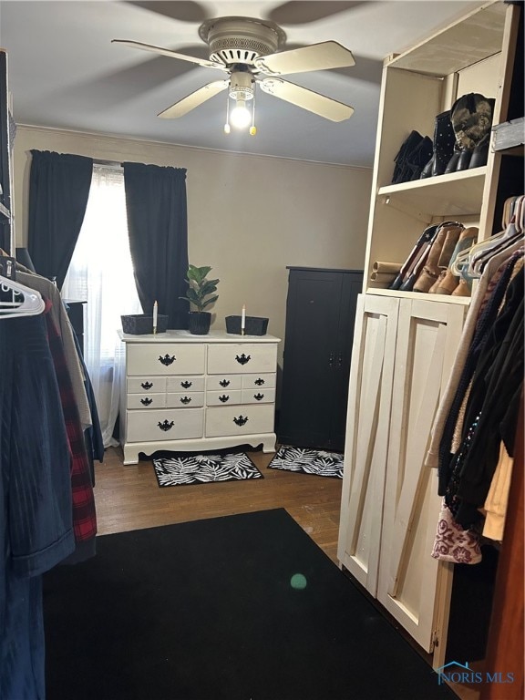 bedroom featuring dark wood-type flooring and ceiling fan