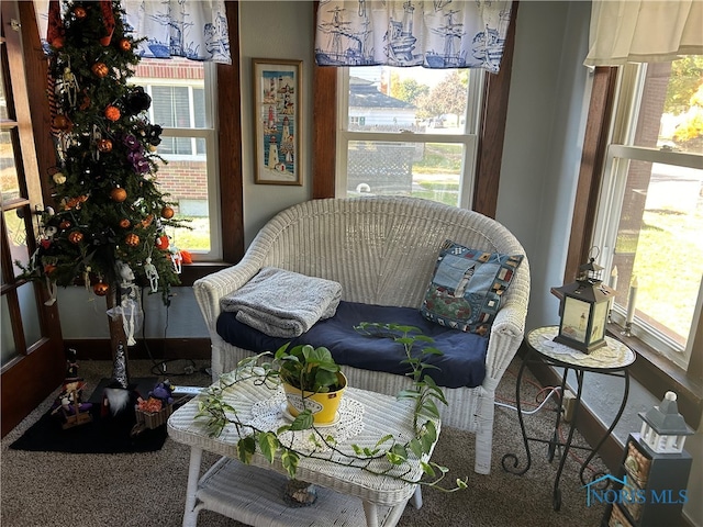 living area featuring carpet and a wealth of natural light