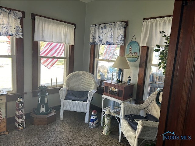 sitting room with carpet flooring