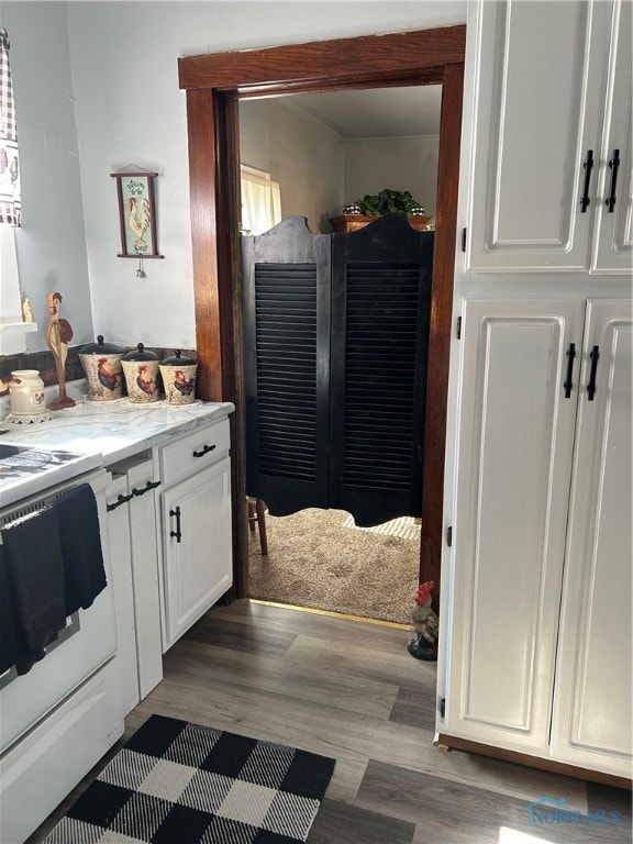 bathroom with vanity and hardwood / wood-style flooring