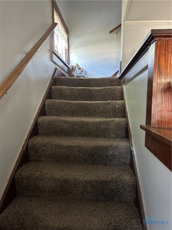 staircase with carpet floors