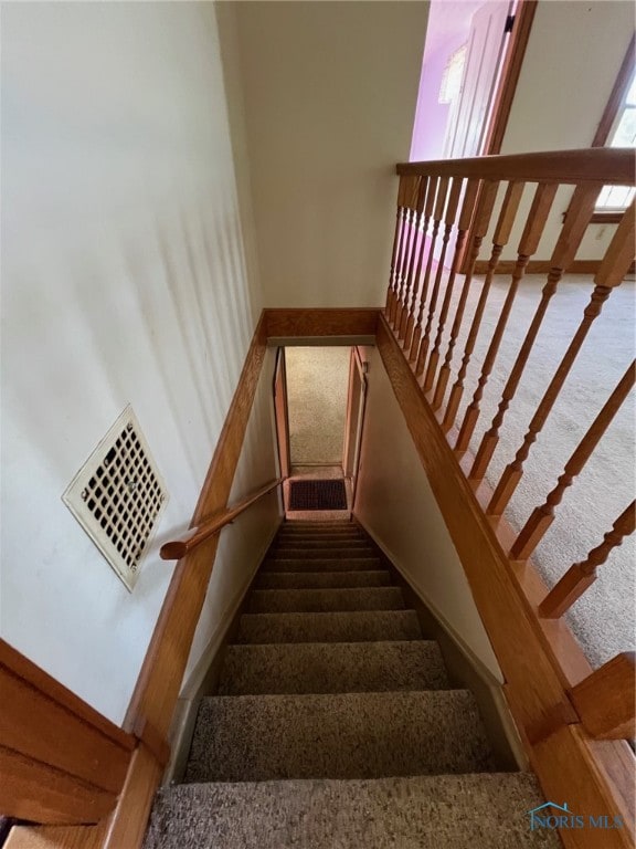 stairs featuring carpet floors