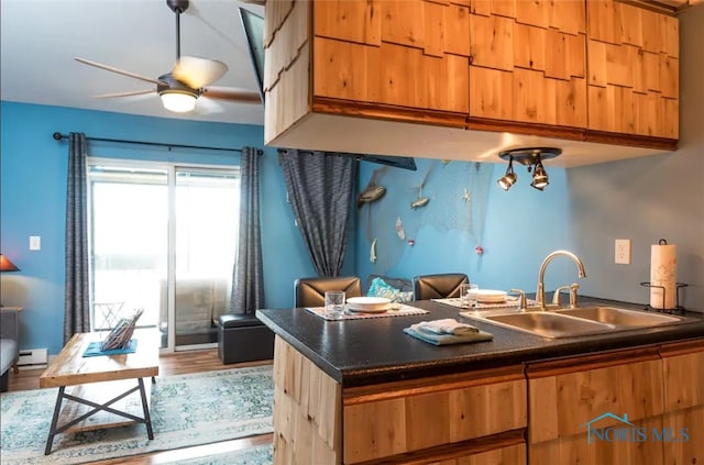 kitchen with a baseboard radiator, wood-type flooring, and sink