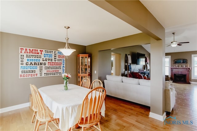 dining room with wood-type flooring and ceiling fan