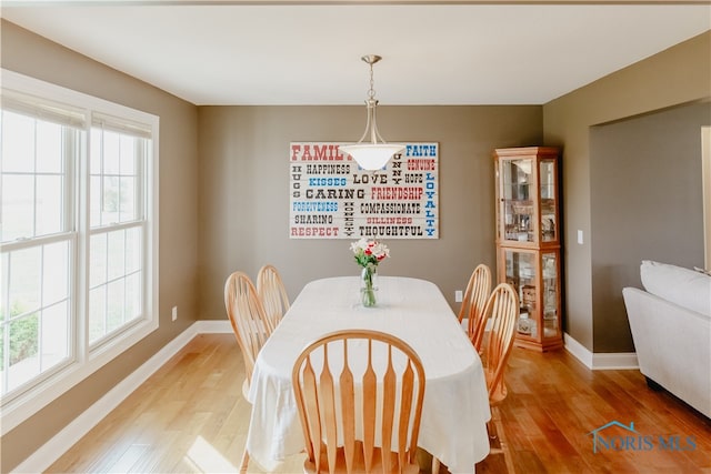 dining area featuring hardwood / wood-style flooring