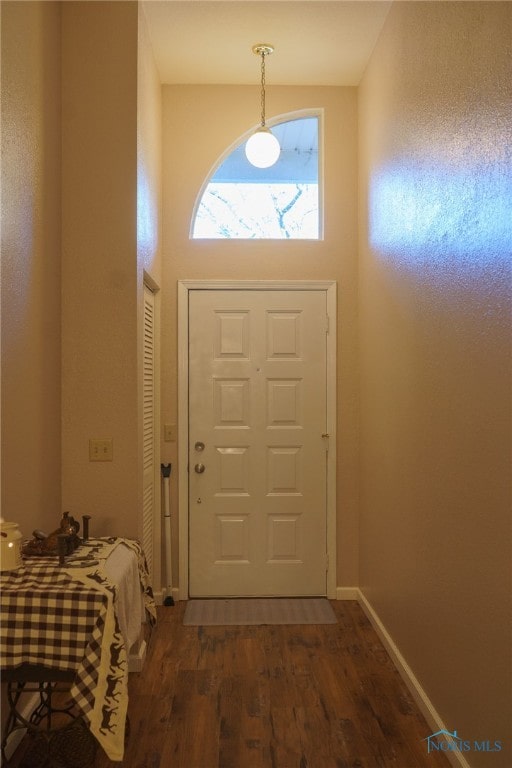 doorway to outside with dark wood-type flooring