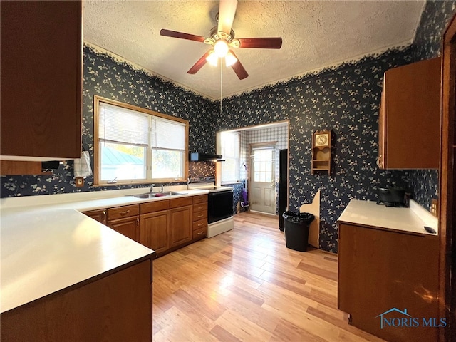 kitchen featuring white range with electric stovetop, sink, a textured ceiling, and light hardwood / wood-style floors