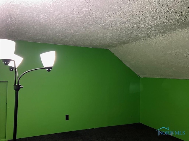 213 E Johnson St, Upper Sandusky, OH 43351 - additional living space featuring a textured ceiling, vaulted ceiling, and dark carpet