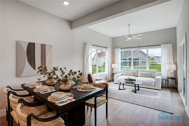 dining space featuring ceiling fan, plenty of natural light, and hardwood / wood-style floors