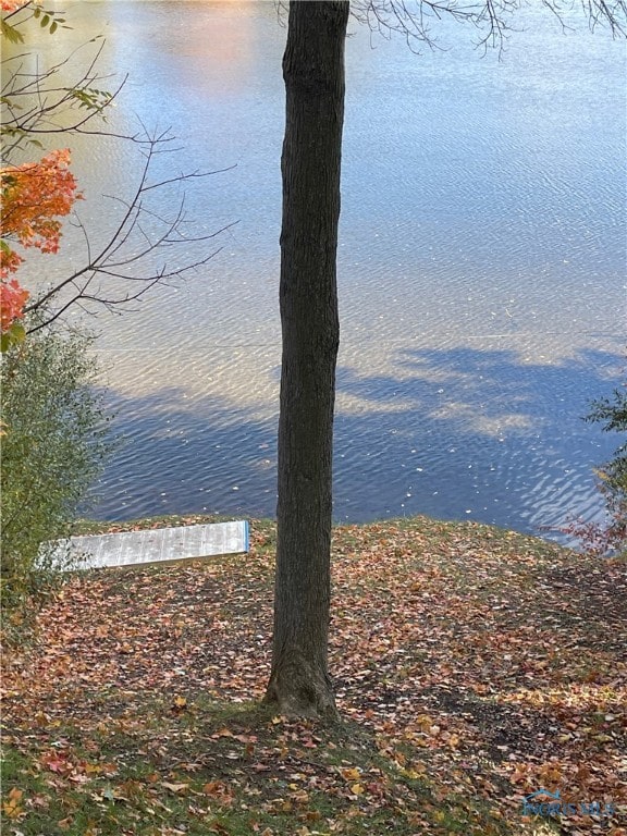 view of water feature