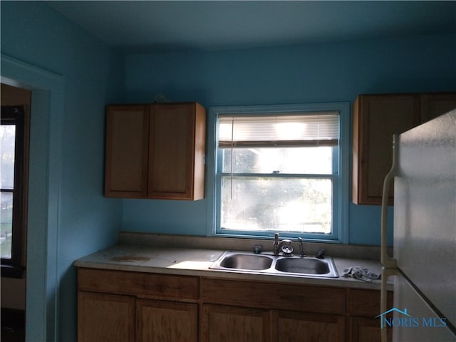 kitchen featuring sink and white refrigerator