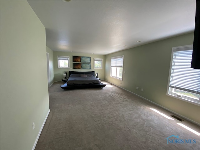 unfurnished bedroom featuring carpet