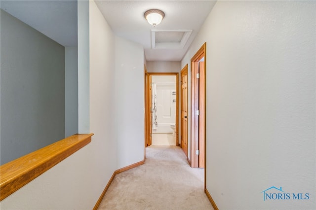 hall featuring light colored carpet