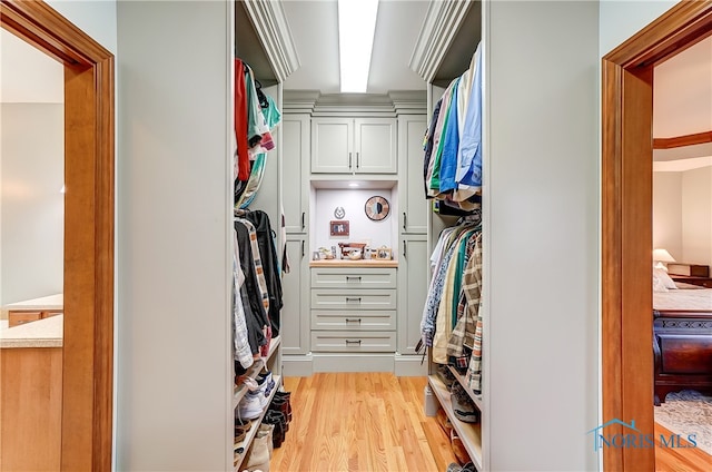 walk in closet with light wood-type flooring