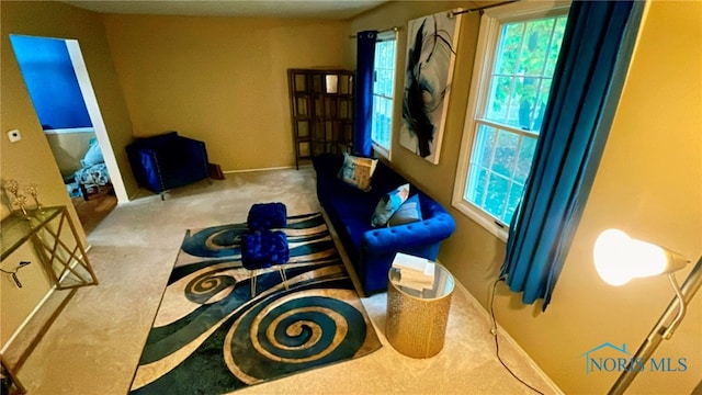 2263 Country Squire Ln, Toledo, OH 43615 - living area with carpet flooring and baseboards