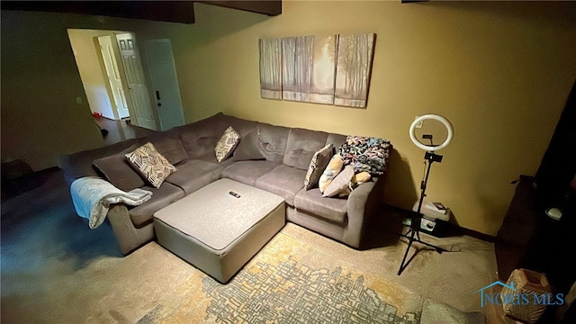 living room featuring carpet