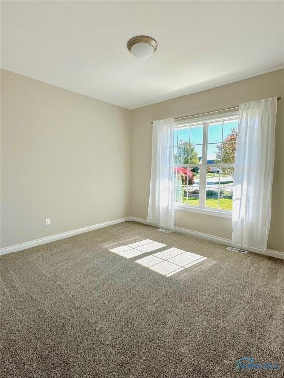 spare room featuring carpet floors