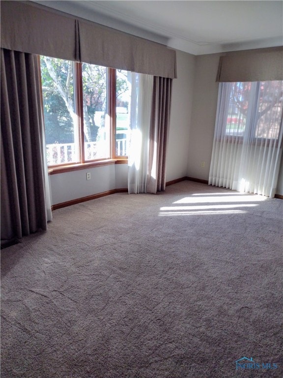 spare room featuring light carpet