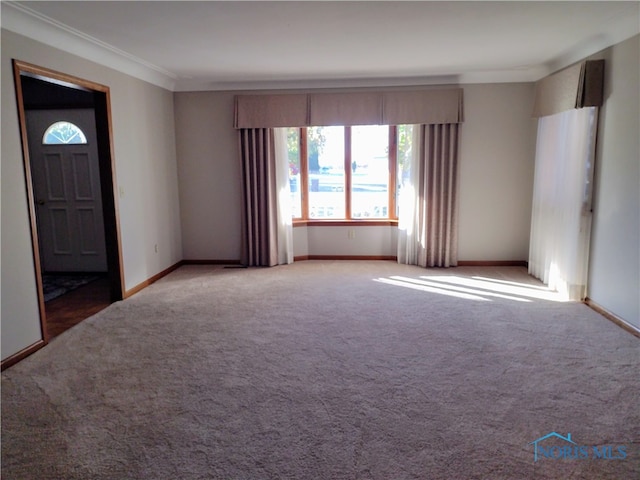 spare room featuring crown molding and carpet floors