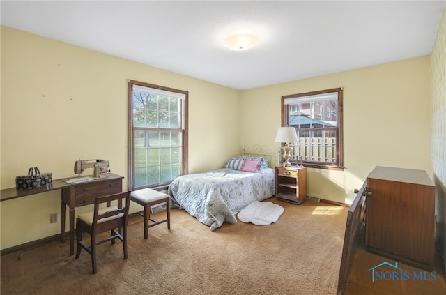 carpeted bedroom with multiple windows