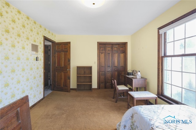 bedroom with a closet and light carpet