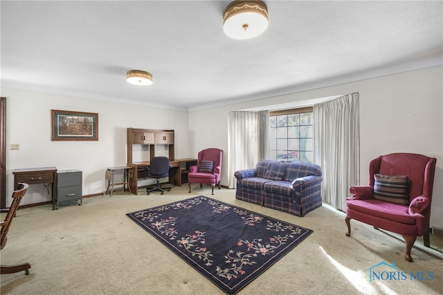 living room featuring light colored carpet