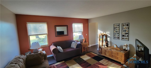 living room featuring hardwood / wood-style floors