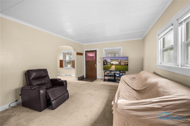 living room with light carpet, crown molding, and a healthy amount of sunlight