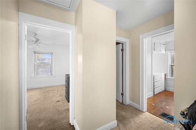 hallway with light wood-type flooring