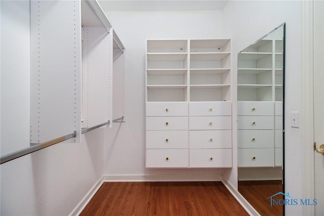 walk in closet featuring wood finished floors