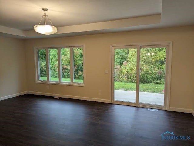 spare room with a raised ceiling, plenty of natural light, and dark hardwood / wood-style flooring