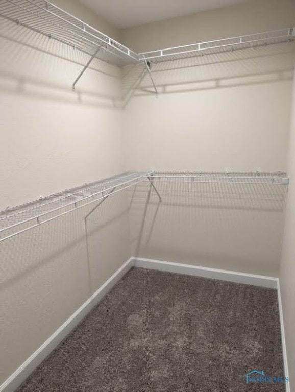 spacious closet with carpet