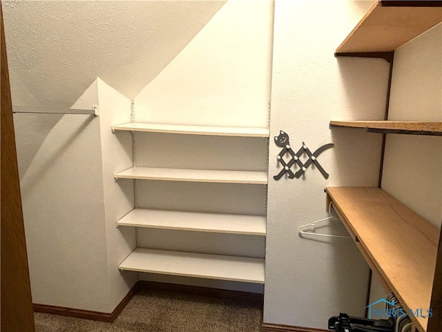 walk in closet with carpet