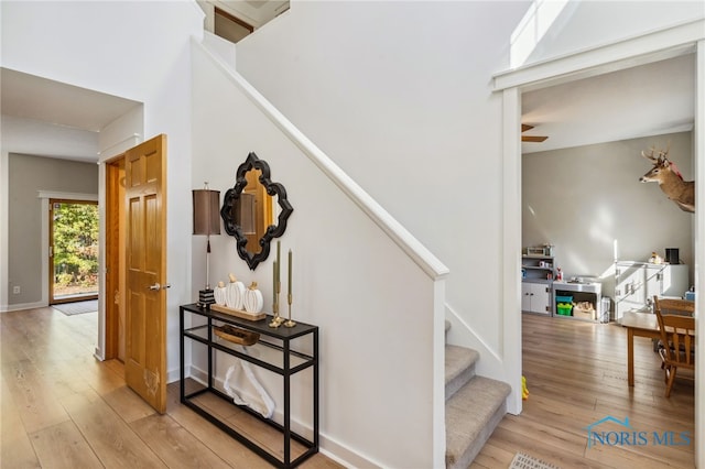 stairway featuring wood-type flooring and ceiling fan