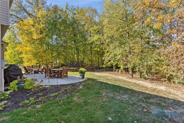 view of yard featuring a patio