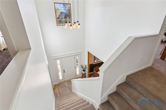 foyer entrance featuring carpet flooring