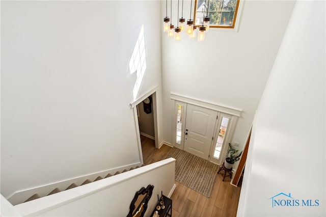 foyer entrance featuring hardwood / wood-style flooring and a high ceiling