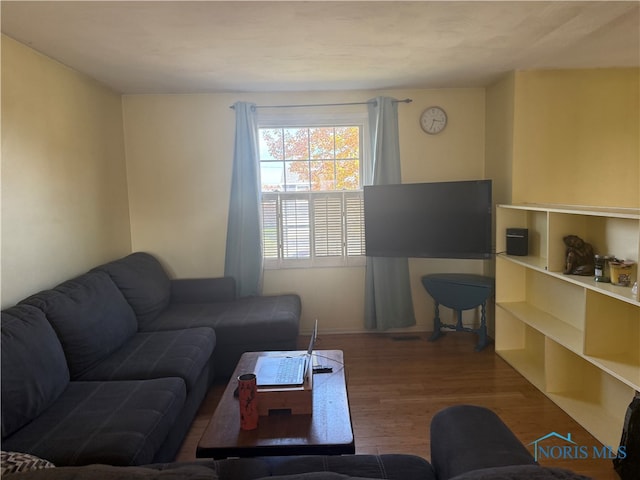 living room featuring hardwood / wood-style floors