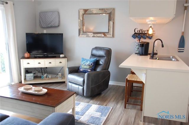 living room featuring sink and light hardwood / wood-style flooring