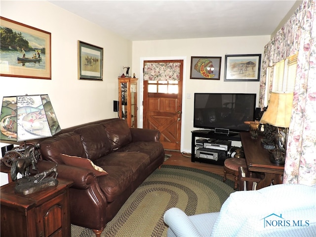 living room featuring hardwood / wood-style flooring