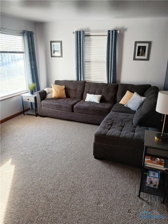 living room with carpet floors