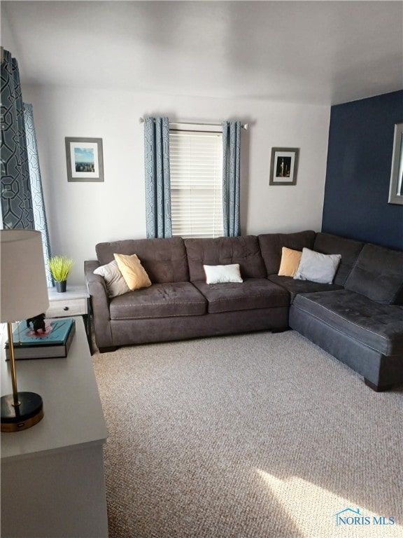 living room with carpet floors